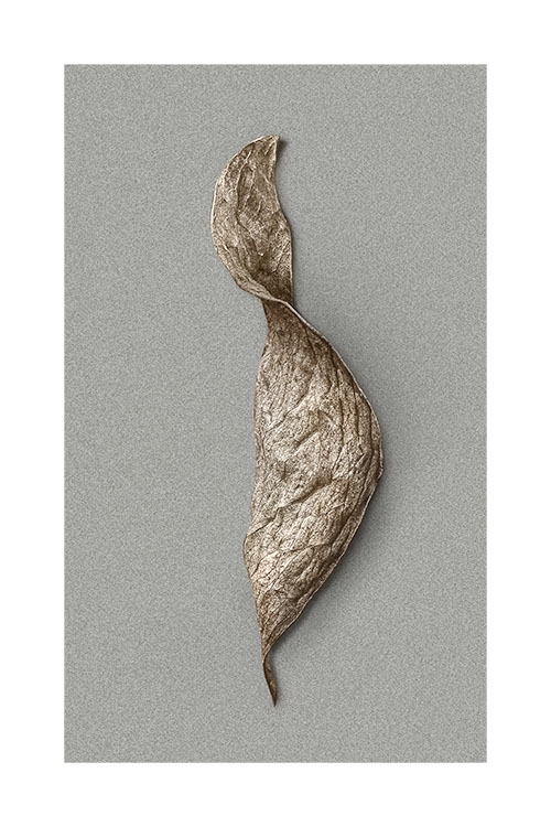 Hoja dorada web