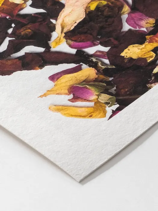 Papel Hahnemühle Museum Etching para grabado digital e impresión giclée