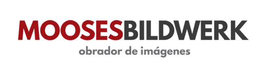 Moosesbildwerk