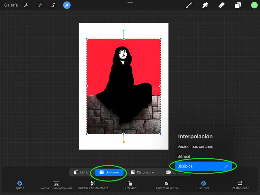 Opciones de escalado para guardar en Procreate