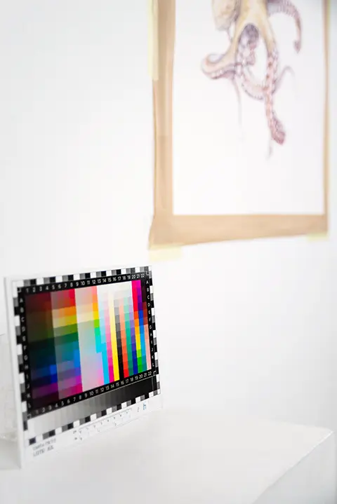 Fotografía profesional de obras de arte en Zaragoza Digitalización profesional de cuadros con gestión de color