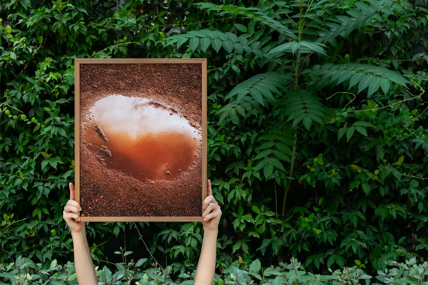 Fotografía de Sheyla López Impresión giclée de naturaleza por Sheyla López