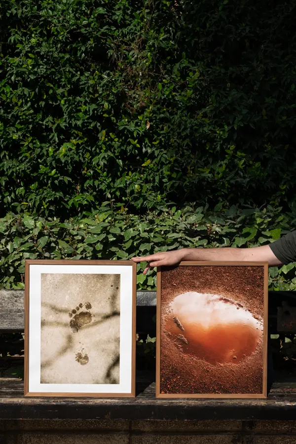 precios de impresion giclée fine art