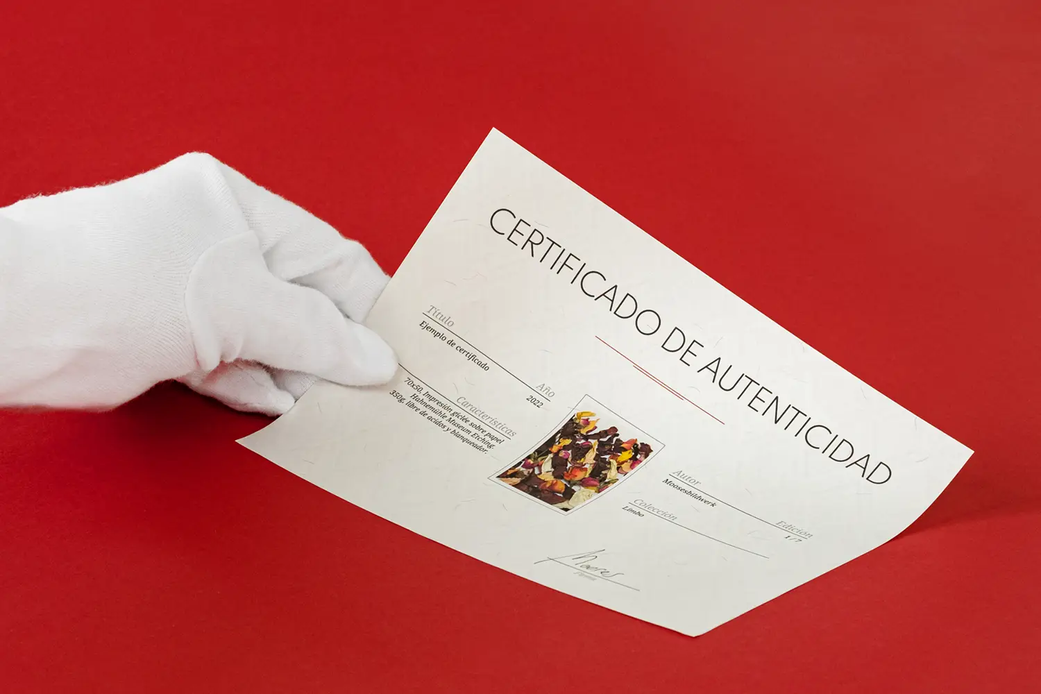 certificados de arte original e impreso Certificados de arte original e impreso, diseño propio y hahnemühle.